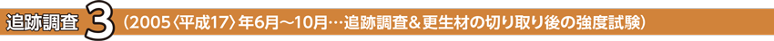 追跡調査3 (2005〈平成17〉年6月〜10月)