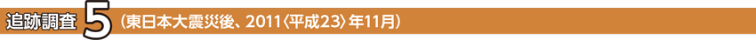 追跡調査5 (東日本大震災後、2011〈平成23〉年11月)
